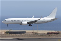 Miguel A. gueda Rguez.  (CANARY ISLANDS SPOTTING). Click to see full size photo