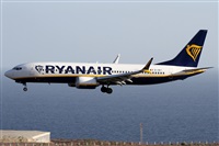 Alfonso Sols - Asociacin Canary Islands Spotting. Haz click para ampliar