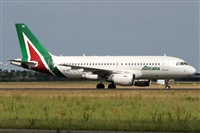Alfonso Sols - Asociacin Canary Islands Spotting. Click to see full size photo