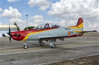 Adolfo Bento - Gran Canaria Spotters. Click to see full size photo