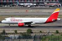 ©Alfonso Solís - Asociación Canary Islands Spotting. Click to see full size photo ©Alfonso Solís - Asociación Canary Islands Spotting. Click to see full size photo