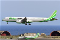Miguel A. gueda Rguez.  (CANARY ISLANDS SPOTTING). Click to see full size photo
