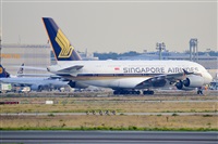 Miguel A. gueda Rguez.  (CANARY ISLANDS SPOTTING). Click to see full size photo
