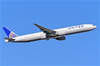 Miguel A. gueda Rguez.  (CANARY ISLANDS SPOTTING). Click to see full size photo