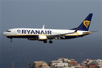 Alfonso Sols - Asociacin Canary Islands Spotting. Haz click para ampliar