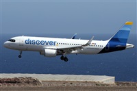 ©Alfonso Solís - Asociación Canary Islands Spotting. Click to see full size photo ©Alfonso Solís - Asociación Canary Islands Spotting. Click to see full size photo