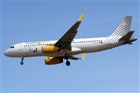 ©Alfonso Solís - Asociación Canary Islands Spotting. Click to see full size photo ©Alfonso Solís - Asociación Canary Islands Spotting. Click to see full size photo