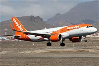 Alfonso Sols - Asociacin Canary Islands Spotting. Haz click para ampliar