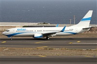 Alfonso Sols - Asociacin Canary Islands Spotting. Click to see full size photo