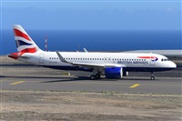 Miguel A. gueda Rguez.  (CANARY ISLANDS SPOTTING). Click to see full size photo