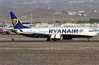 ©Alfonso Solís - Asociación Canary Islands Spotting. Click to see full size photo ©Alfonso Solís - Asociación Canary Islands Spotting. Click to see full size photo
