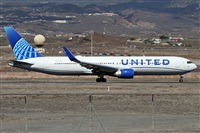 Alfonso Sols - Asociacin Canary Islands Spotting. Click to see full size photo