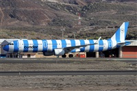 Alfonso Sols - Asociacin Canary Islands Spotting. Click to see full size photo