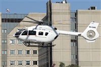 �Fernando Dias silva. Click to see full size photo