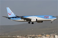 ©Adolfo Bento - Gran Canaria Spotters. Click to see full size photo ©Adolfo Bento - Gran Canaria Spotters. Click to see full size photo