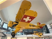 �Daniel Ferro. Click to see full size photo