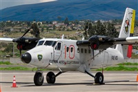 �Diogo da Concei��o. Click to see full size photo