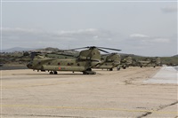 �Luis Mart�n Garcia. AIRE.org. Click to see full size photo