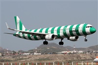 ©Alfonso Solís - Asociación Canary Islands Spotting. Click to see full size photo ©Alfonso Solís - Asociación Canary Islands Spotting. Click to see full size photo