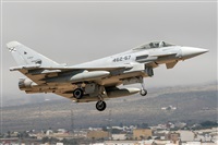 ©Adolfo Bento - Gran Canaria Spotters. Click to see full size photo ©Adolfo Bento - Gran Canaria Spotters. Click to see full size photo