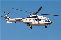 �Sergio Cambronero - Asociaci�n AIRE. Click to see full size photo