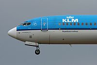 Jos Miguel Bernases - Noisy Spotters. Click to see full size photo