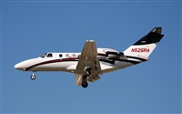 Rubn Gil - Noisy Spotters. Click to see full size photo
