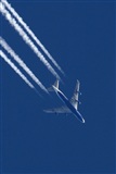Jos Miguel Bernases - Noisy Spotters. Click to see full size photo
