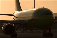 Javier de la Cruz - CANARY ISLANDS SPOTTING. Haz click para ampliar