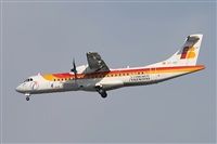 Galo Alcolea - Iberian Spotter / AIRE.ORG. Haz click para ampliar