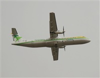 Adrin Alonso Lemes - Lanzarote Spotters. Click to see full size photo