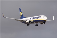 Alfonso Sols - Asociacin Canary Islands Spotting. Haz click para ampliar