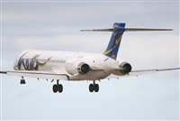Adrin Alonso Lemes - Lanzarote Spotters. Haz click para ampliar