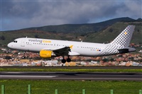 Javier de la Cruz - CANARY ISLANDS SPOTTING. Click to see full size photo