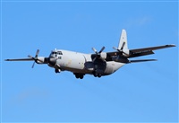 Alejandro H.L - Gran Canaria Spotters. Click to see full size photo