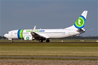Javier de la Cruz - CANARY ISLANDS SPOTTING. Click to see full size photo