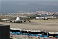 Jos Miguel Bernases - Noisy Spotters. Click to see full size photo
