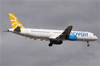 Alfonso Sols - Asociacin Canary Islands Spotting. Click to see full size photo