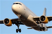 Rodrigo Carvalho - Noisy Spotters. Click to see full size photo