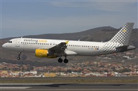 Ayoze Santana Mendez - Canary Islands Spotting. Click to see full size photo