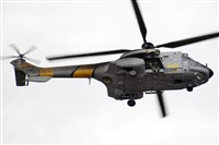 J. Victor Vega-Gran Canaria Spotters. Click to see full size photo