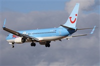 ©Alfonso Solís - Asociación Canary Islands Spotting. Click to see full size photo ©Alfonso Solís - Asociación Canary Islands Spotting. Click to see full size photo