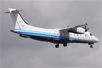 Alfonso Sols - Asociacin Canary Islands Spotting. Click to see full size photo