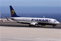 ©Alfonso Solís - Asociación Canary Islands Spotting. Click to see full size photo ©Alfonso Solís - Asociación Canary Islands Spotting. Click to see full size photo