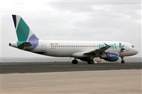 Adrin Alonso Lemes - Lanzarote Spotters. Click to see full size photo