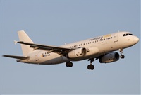 Miguel Alia - Noisy Spotters. Click to see full size photo