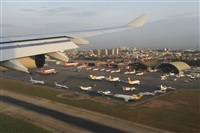 Rui Alves - Madeira Spotters. Haz click para ampliar