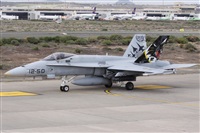 ©Alfonso Solís - Asociación Canary Islands Spotting. Click to see full size photo ©Alfonso Solís - Asociación Canary Islands Spotting. Click to see full size photo
