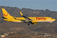 Adolfo Bento - Gran Canaria Spotters. Click to see full size photo