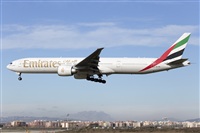 Miguel Alia - Noisy Spotters. Click to see full size photo